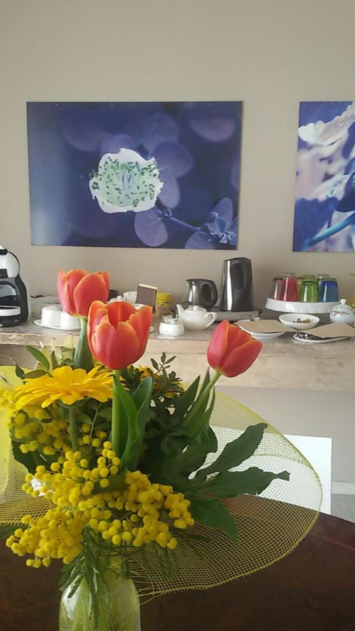 Il colore dei sogni Bed and Breakfast in Veneto