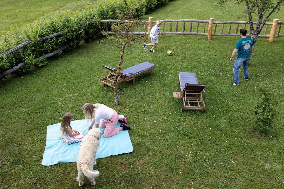 Spring, Day, People, Natural landscape, Garden, Garden, Garden view, group of guests, sunbed