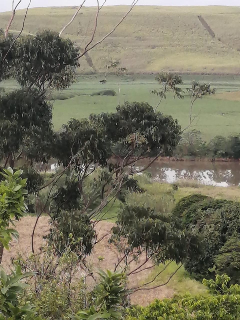 Natural landscape