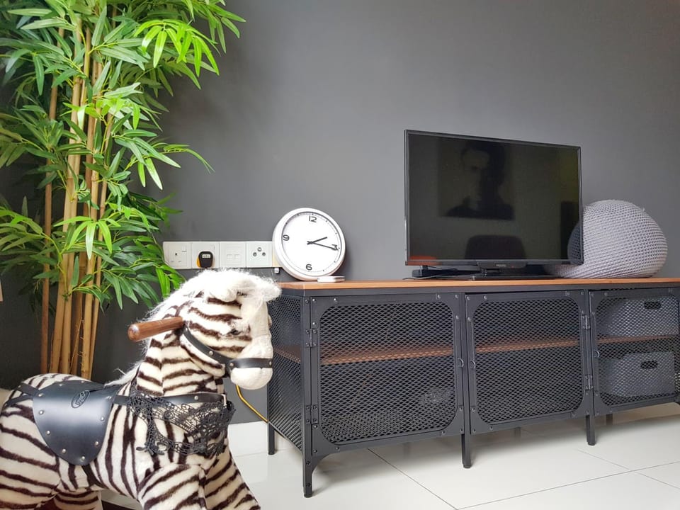 Communal lounge/ TV room, TV and multimedia