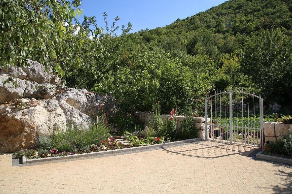 Patio, Garden