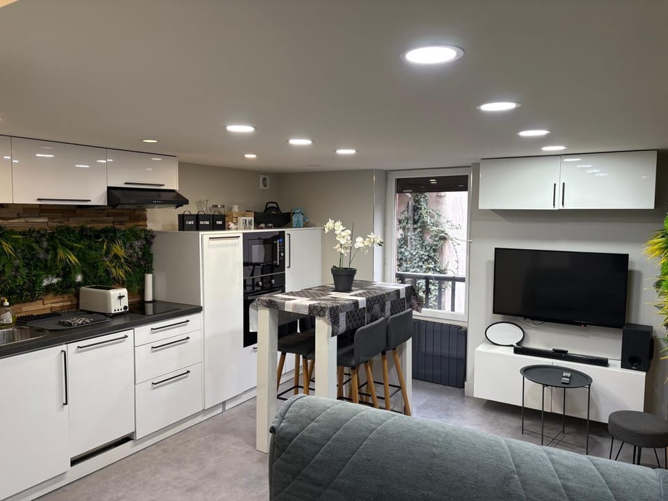 Le Cocon De Notre Dame Apartment in Annecy