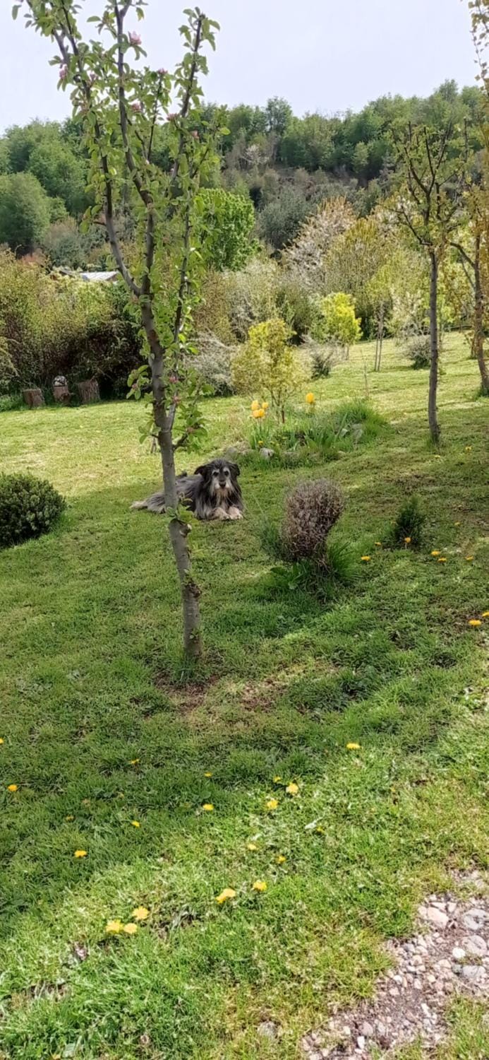 Cabañas Kuyen Nature lodge in Chubut Province, Argentina