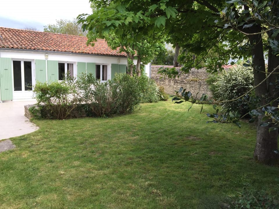 Garden, Garden view, Garden view