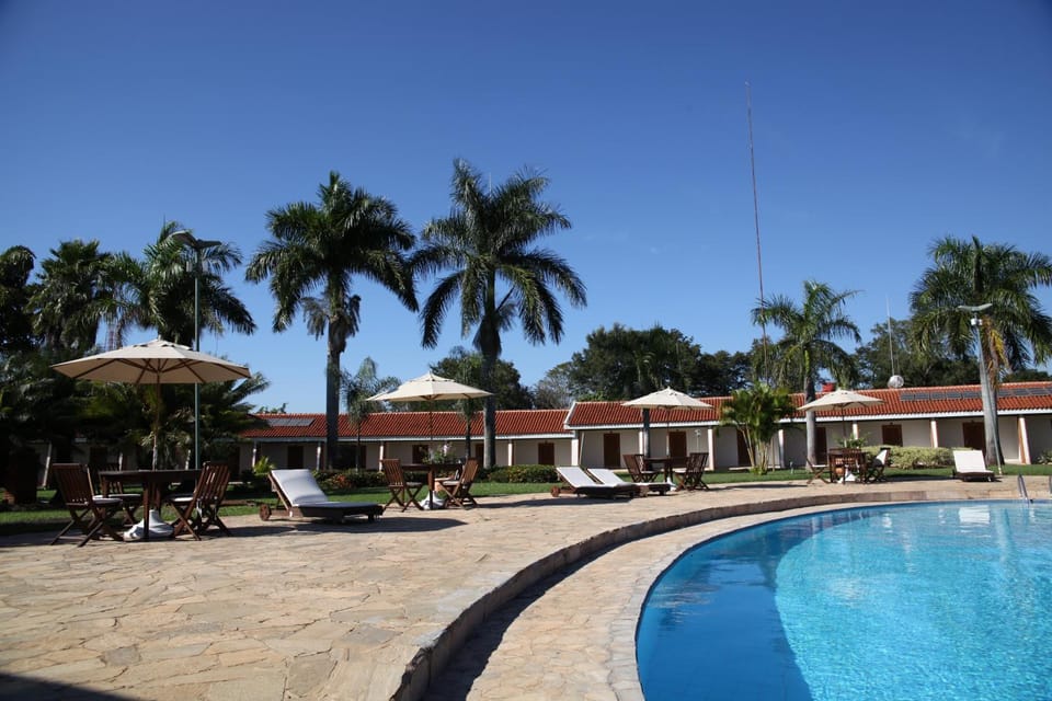 Day, Pool view, Swimming pool, sunbed
