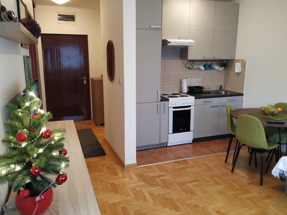 Apartment Xenia Apartment in Novi Sad