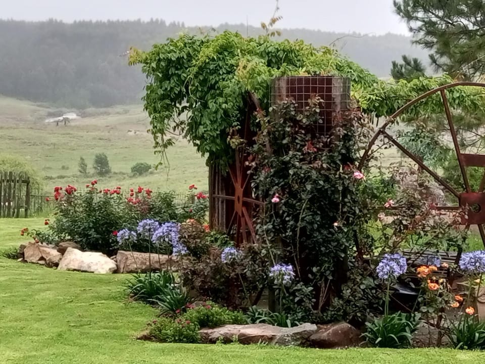 Rocks & Roses Farm stay Country House in South Africa