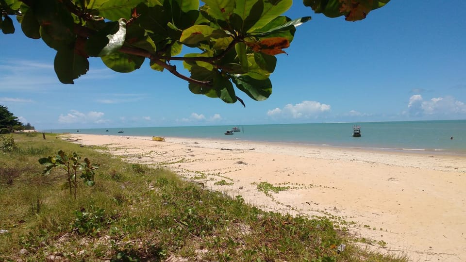 Nearby landmark, Restaurant/places to eat, Beach, Area and facilities