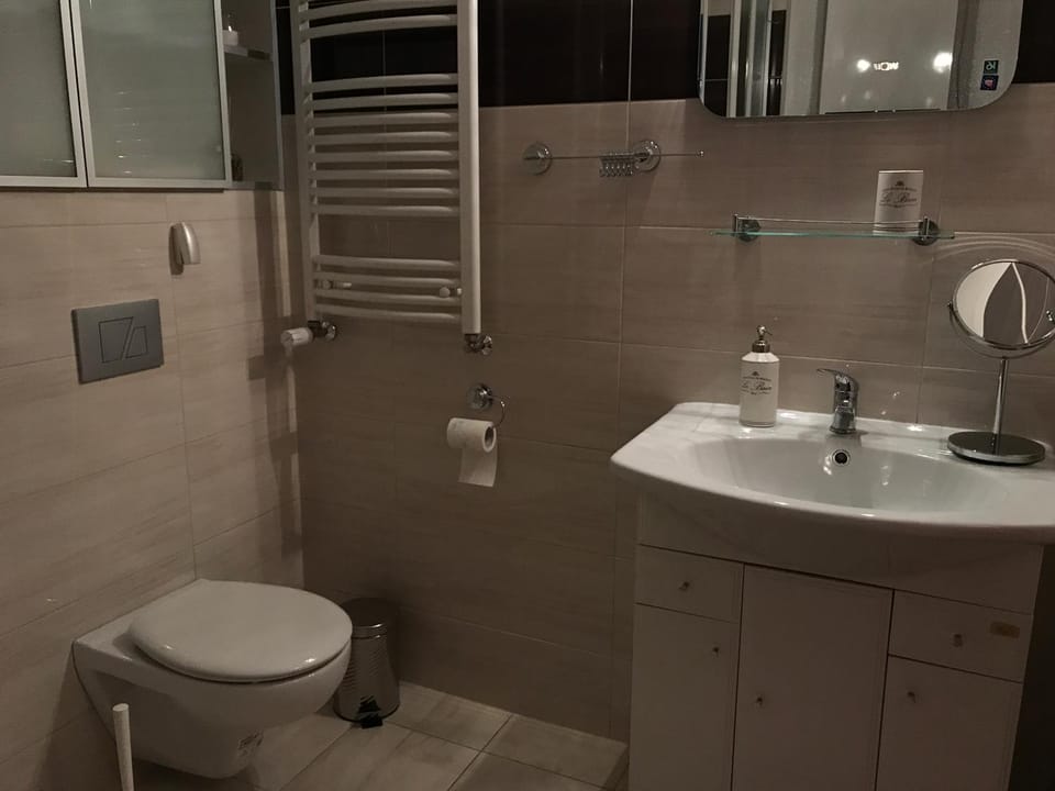 Renovated apartment in Opole Apartment in Czechia