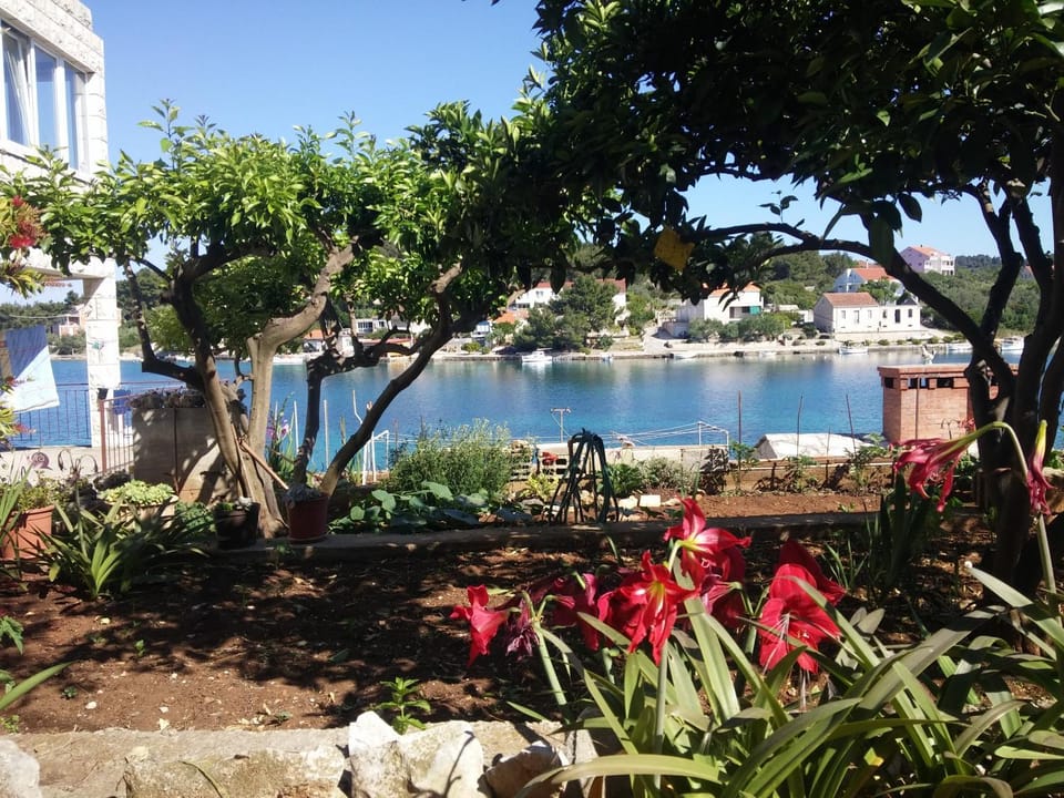 Apartment Marne Apartment in Dubrovnik-Neretva County