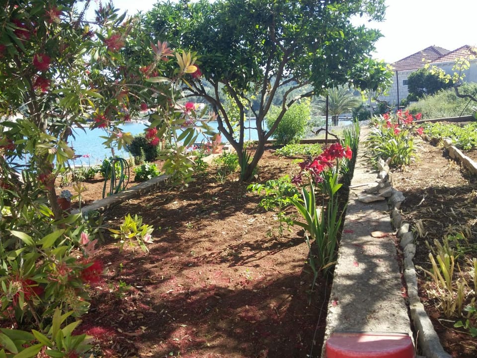 Apartment Marne Apartment in Dubrovnik-Neretva County