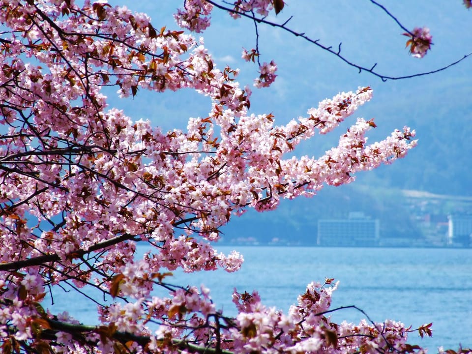 Natural landscape