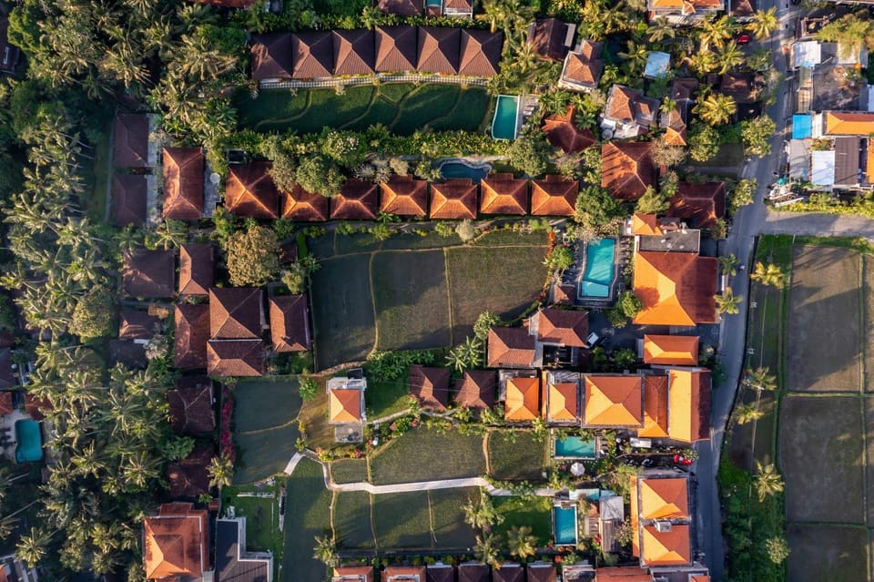 Property building, Natural landscape, Bird's eye view, Garden