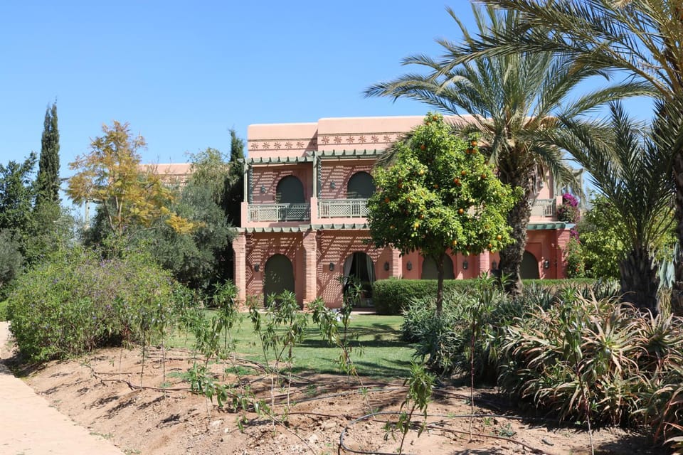 Property building, Garden view