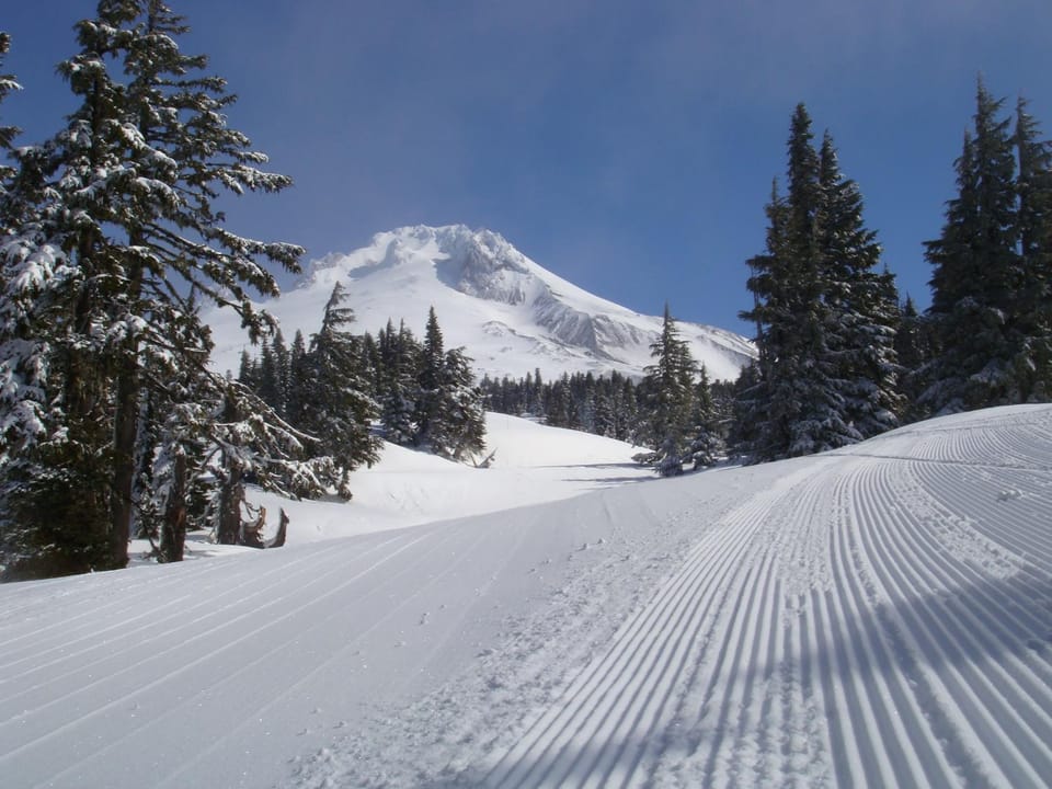 Skiing