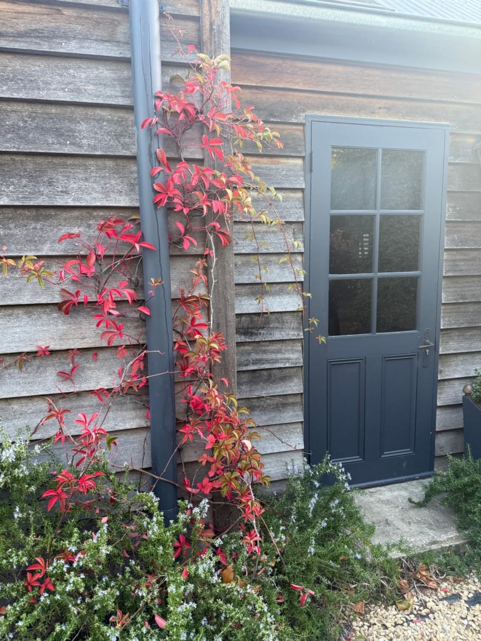 Property building, Garden, Garden view