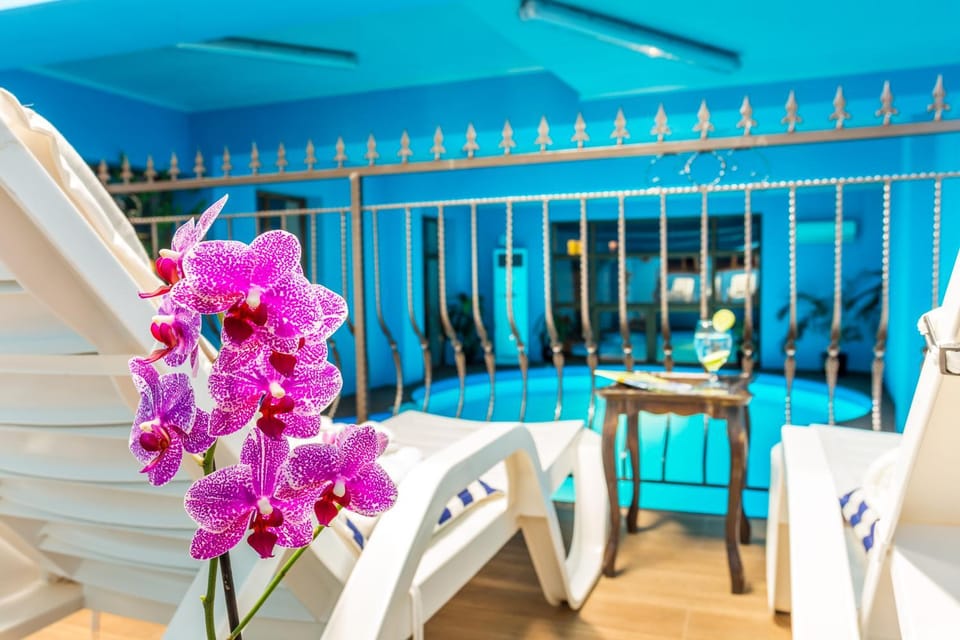 Swimming pool, Swimming pool