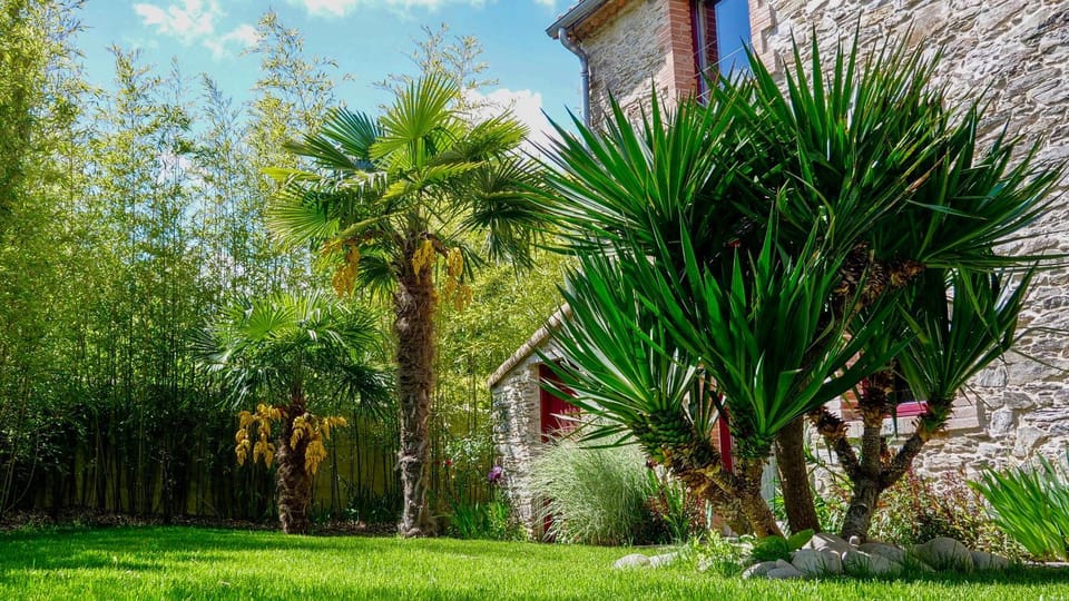 Natural landscape, Garden, Garden
