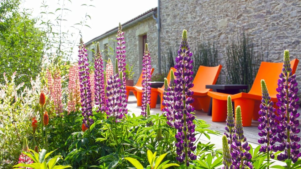 Garden, Garden, Balcony/Terrace
