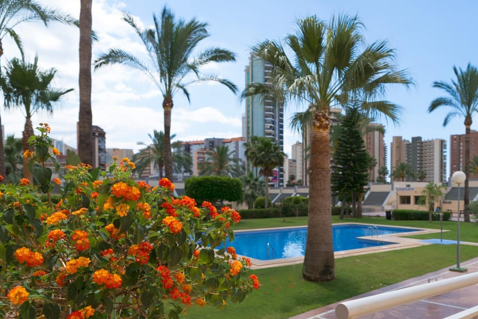 Garden, Swimming pool, Swimming pool