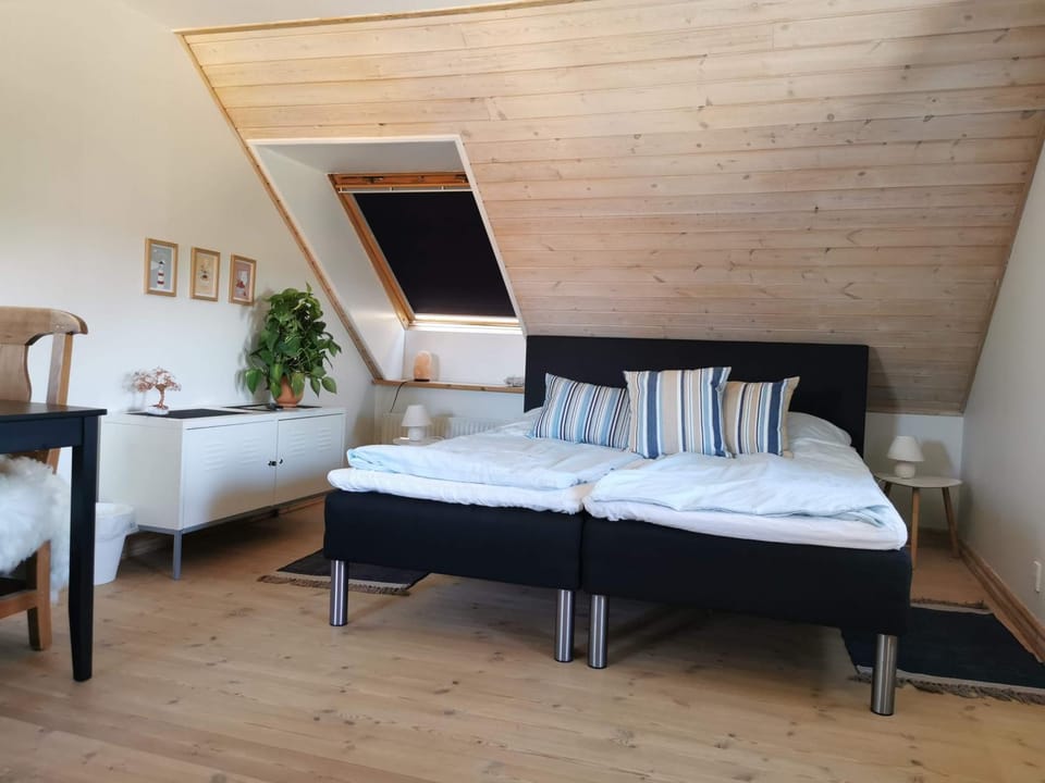 Safine B&B Bed and Breakfast in Region of Southern Denmark