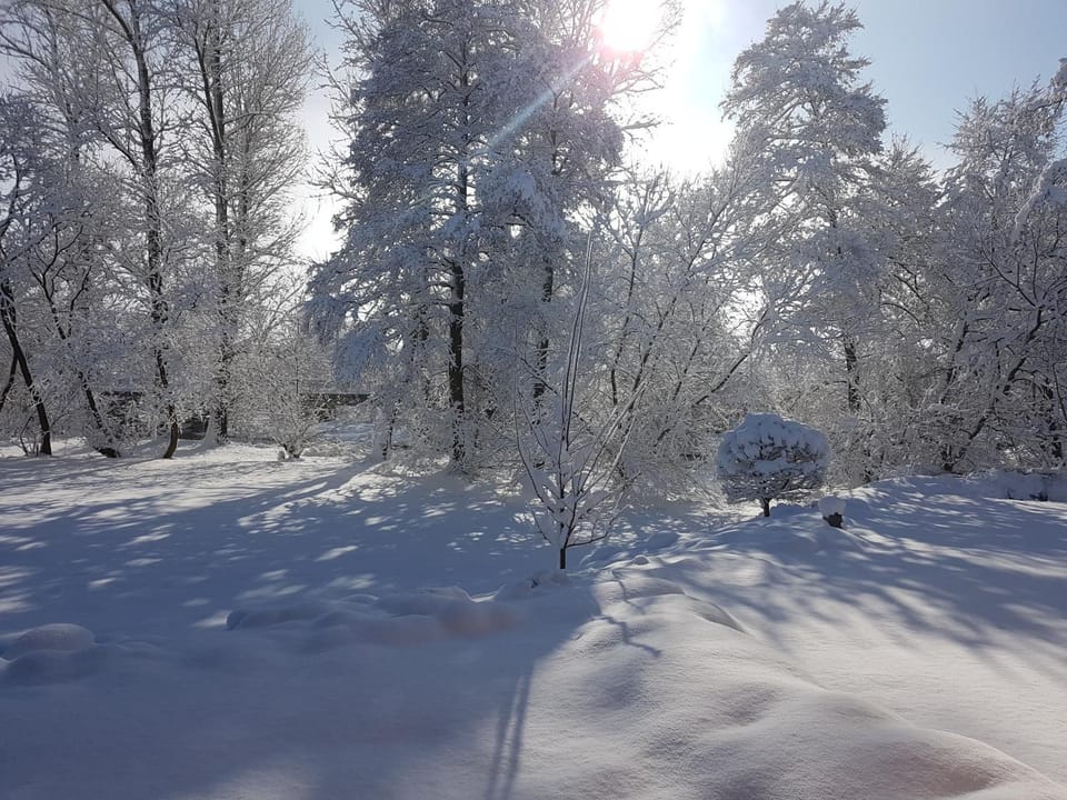 Natural landscape