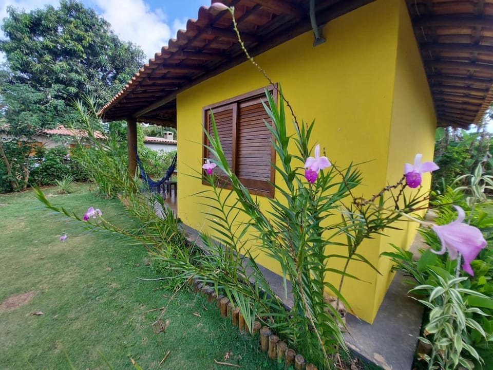 Bangalô Jasmim Caminho Praia Jeribucaçu Itacaré Bahia House in State of Bahia