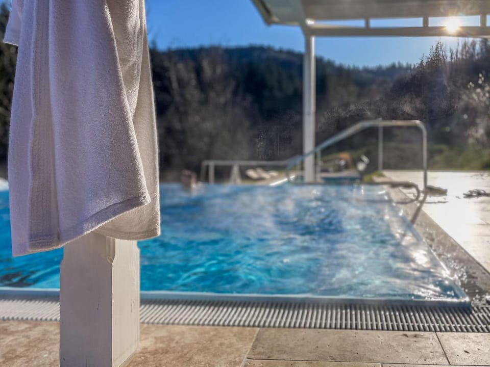 Spa and wellness centre/facilities, Swimming pool