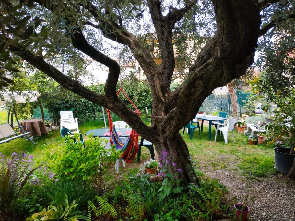 Garden, Other
