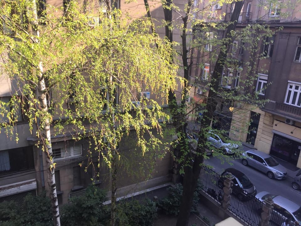 Bird's eye view, Autumn, Garden view, Street view