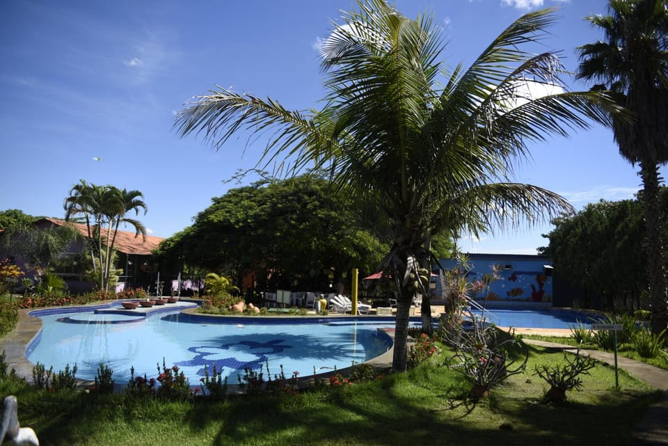 Natural landscape, Garden, Garden view, Pool view, Swimming pool
