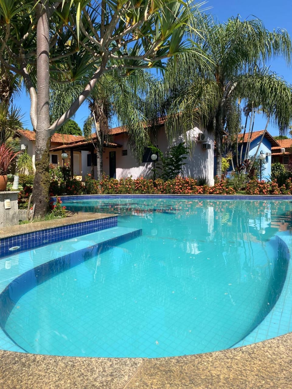 Day, Garden, Garden view, Pool view, Swimming pool