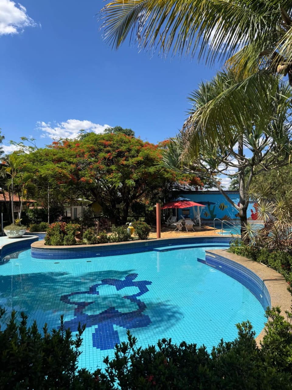 Natural landscape, Garden, Garden view, Pool view, Swimming pool, sunbed