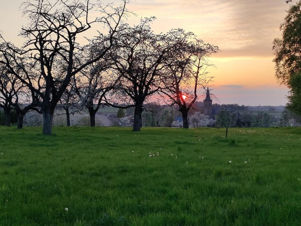De Oude Katsei House in Flanders