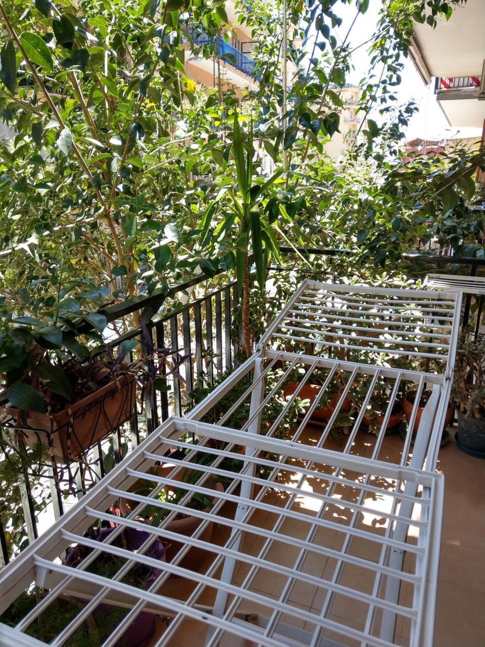 Appartamento MERCATELLO Apartment in Salerno