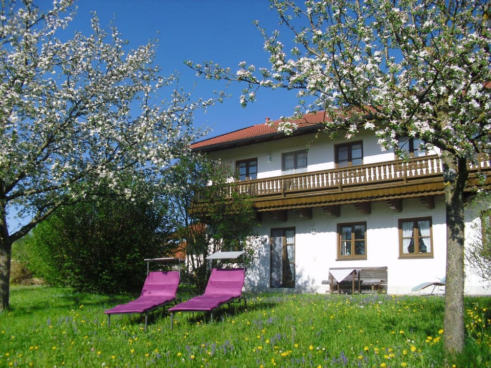 Pichler Roswitha Apartment in Salzburgerland