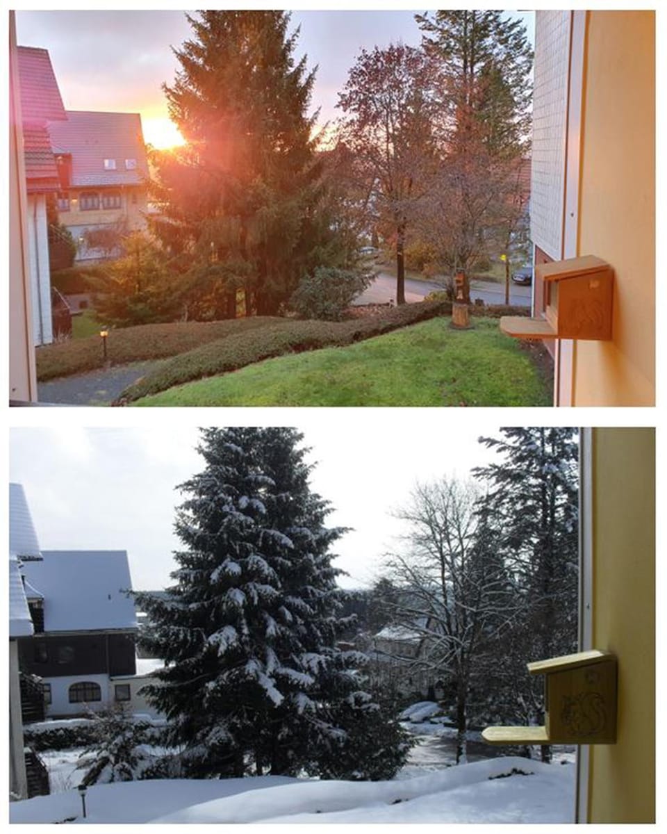 View (from property/room), Balcony/Terrace, Garden view