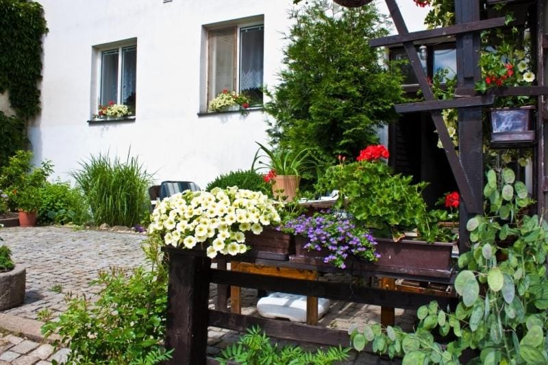 Privat No. 40 Apartment in South Bohemian Region