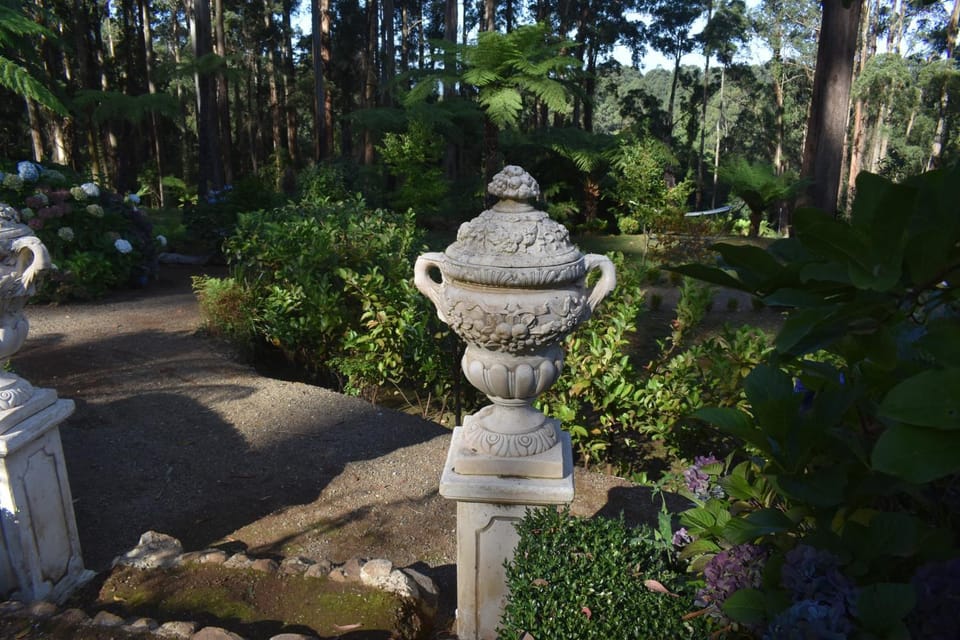 Natural landscape, Garden, Garden view