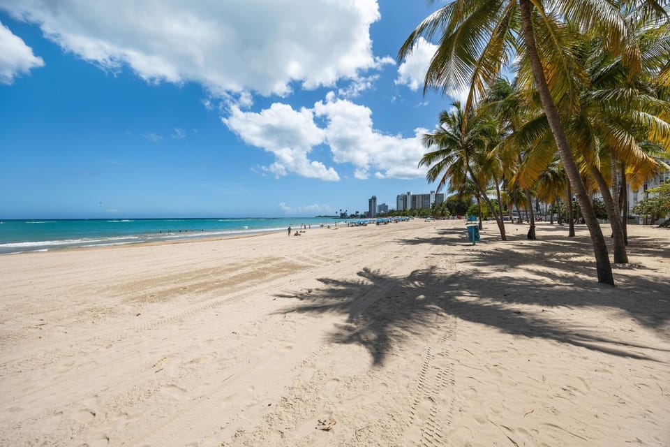 Nearby landmark, Beach