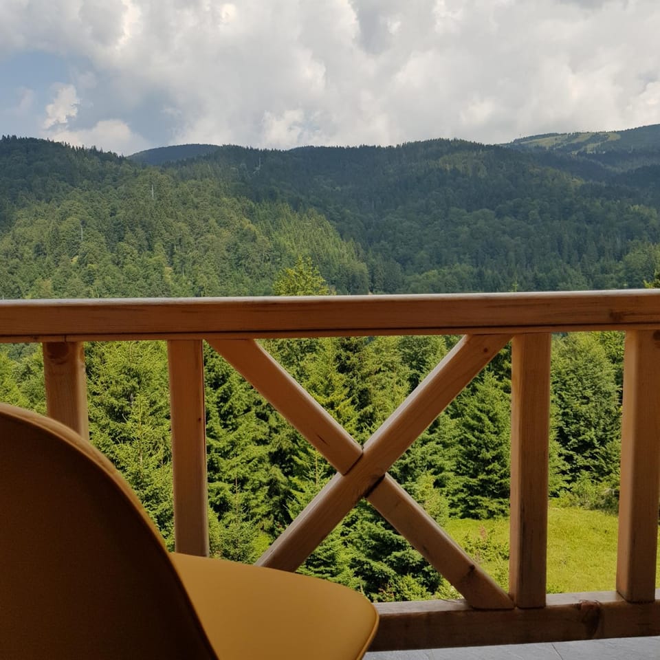 Balcony/Terrace, Mountain view