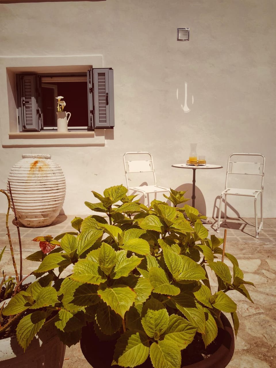 Restaurant/places to eat, Food close-up, Balcony/Terrace, Decorative detail, Street view