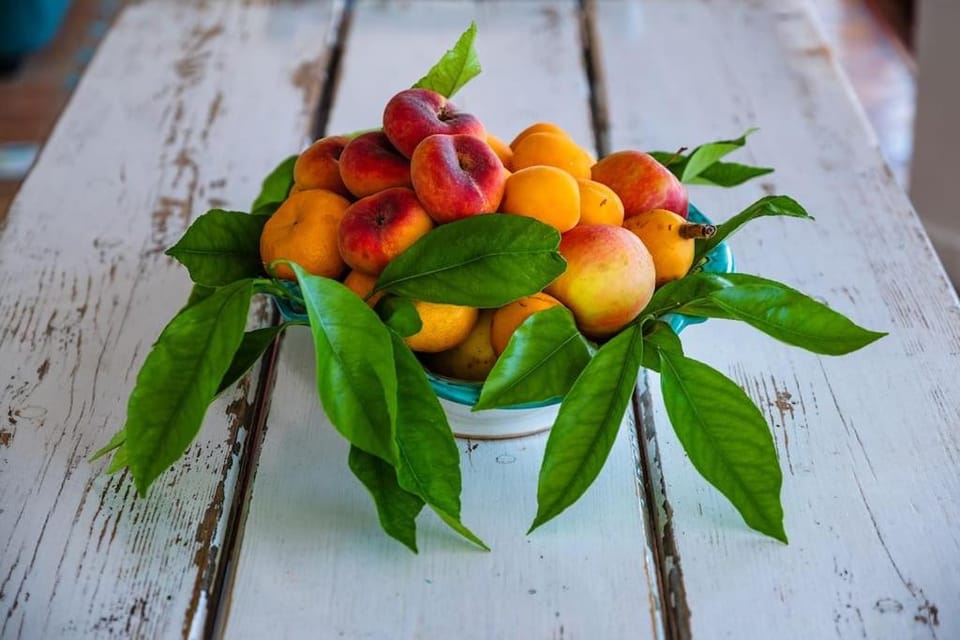 Villa Salvatorosa Villa in Vico Equense