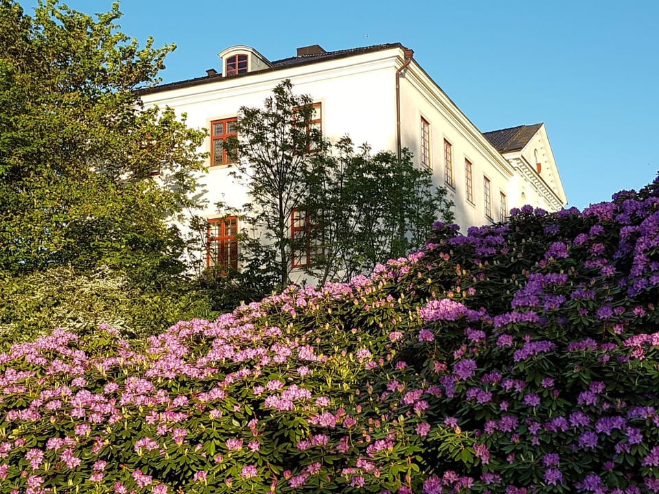 Nearby landmark, Neighbourhood, Garden, On site, Location