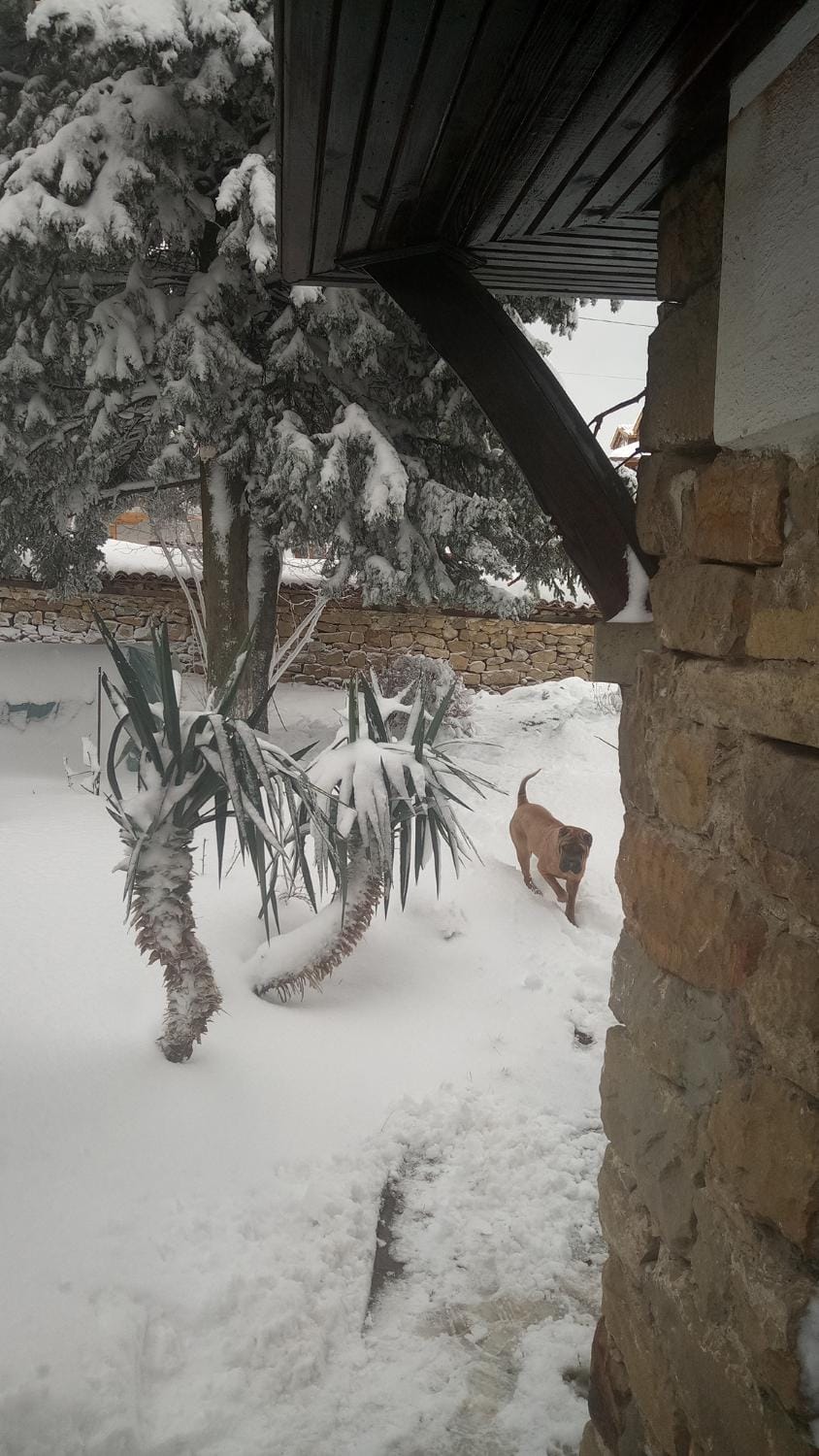 Family hotel Elena Hotel in Veliko Tarnovo