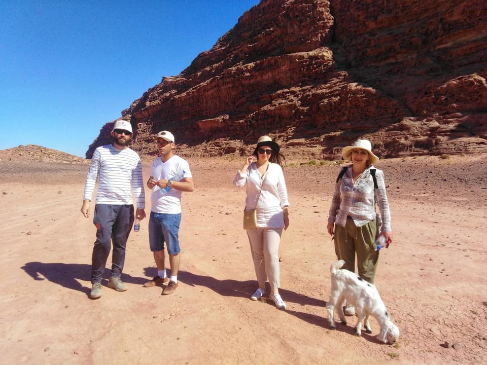 Hiking, Pets, Mountain view, group of guests