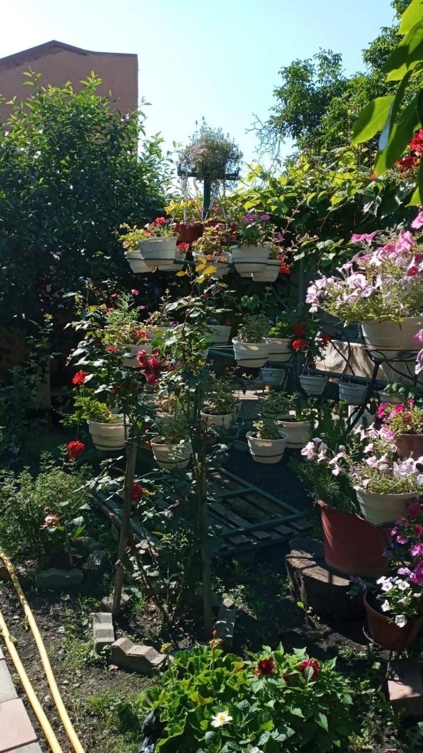 Guest House Zhanna Bed and Breakfast in Hungary