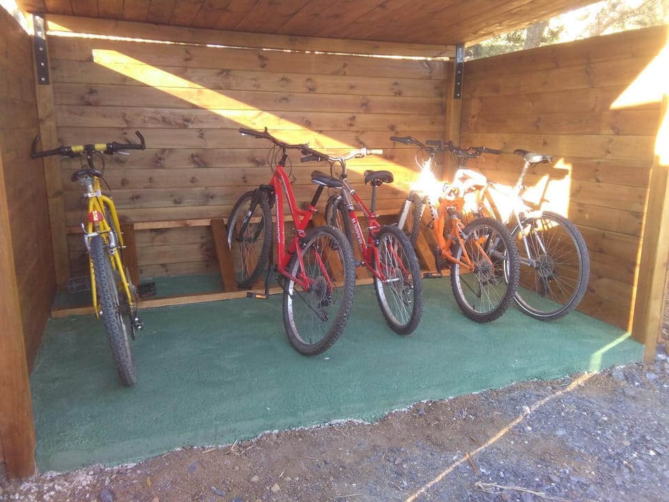 Cycling
