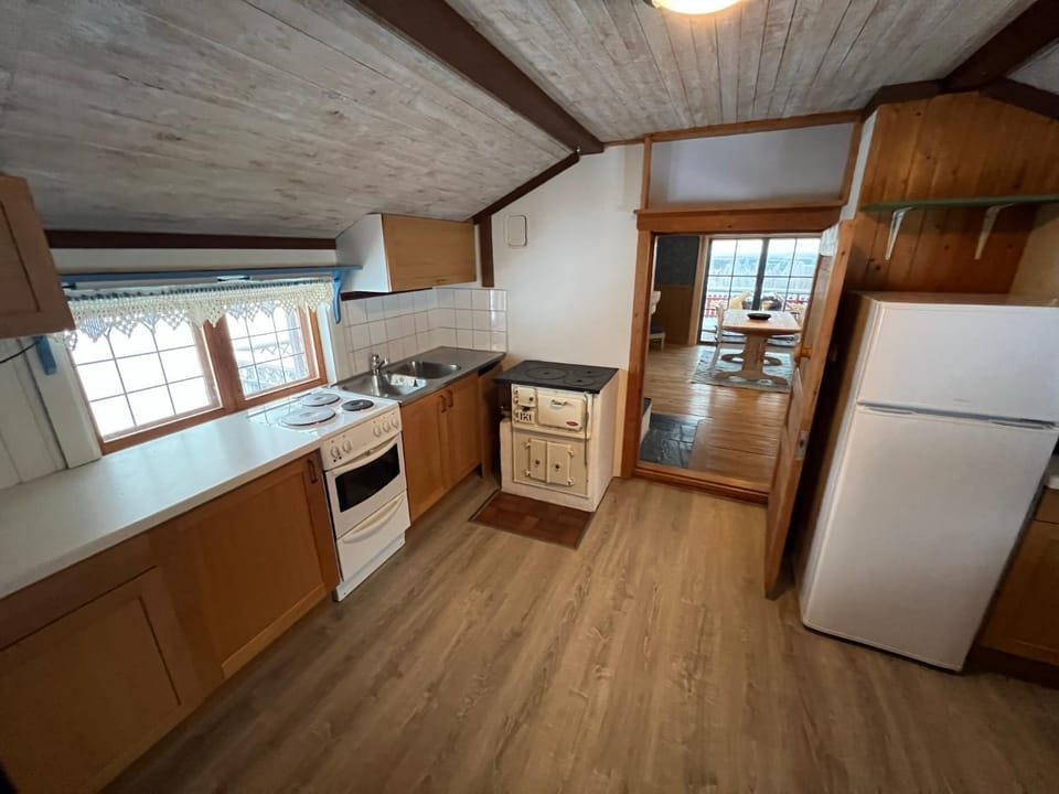 Kitchen or kitchenette, oven