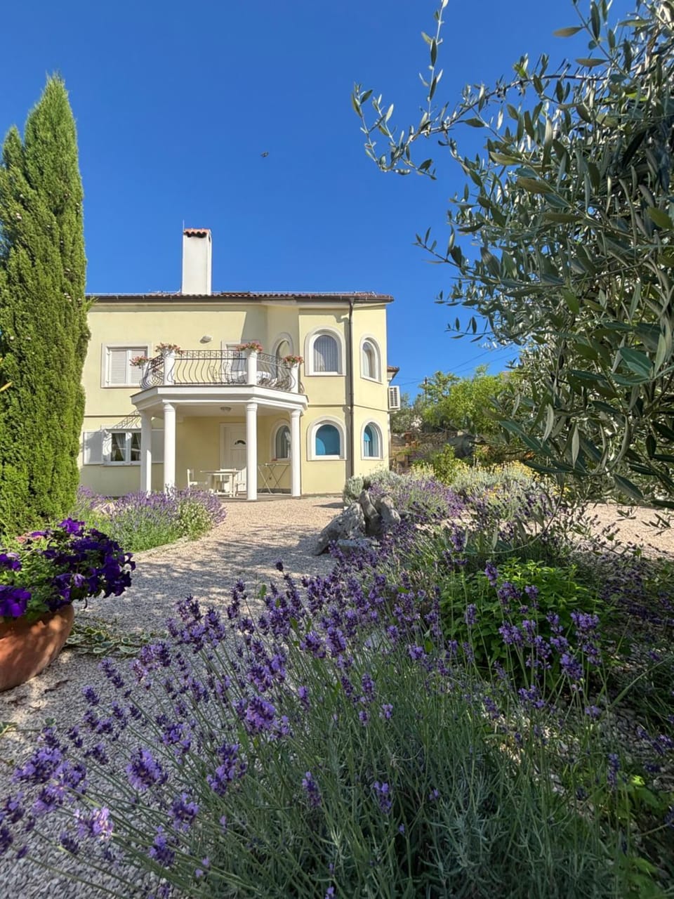 Villa Mandolina Apartments Apartment in Zadar